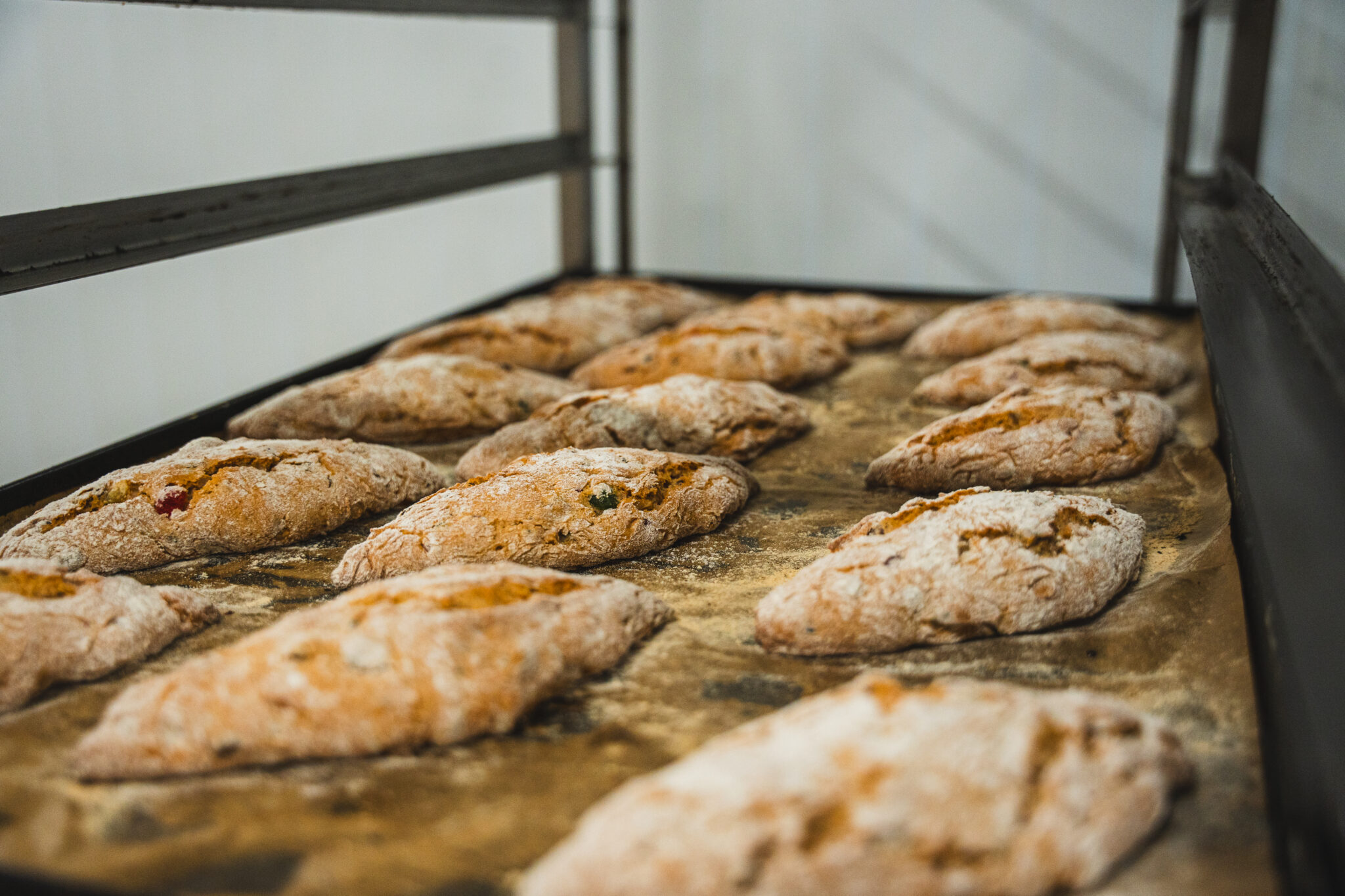 DSC05881